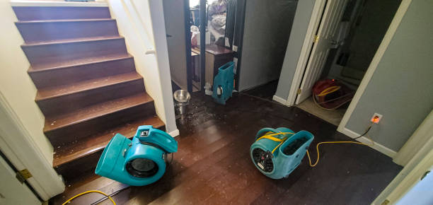 Best 24-hour water damage restoration  in Huntgton, IN